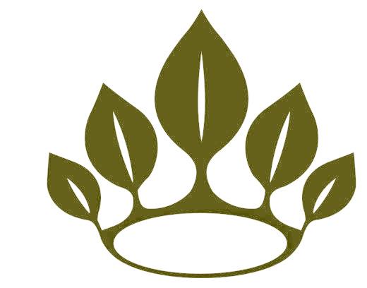图形