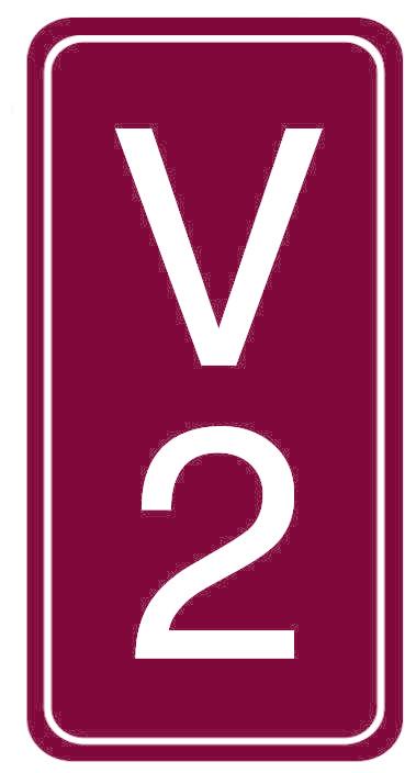 V 2
