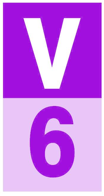 V6