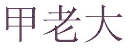 甲老大