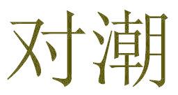對(duì)潮