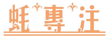 蚝专注