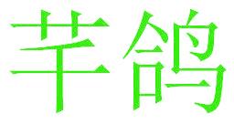 芊鸽