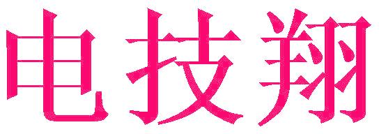 电技翔