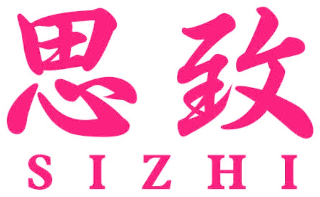 思致
