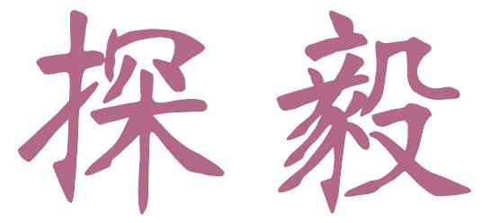 探毅