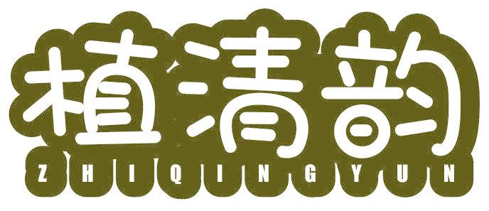 植清韵
