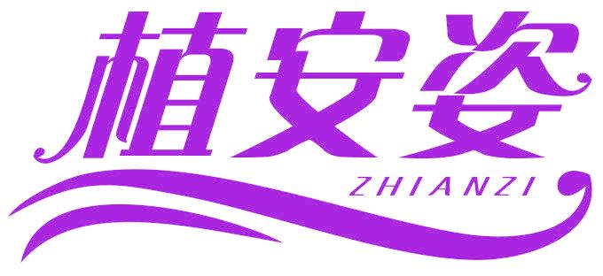植安姿