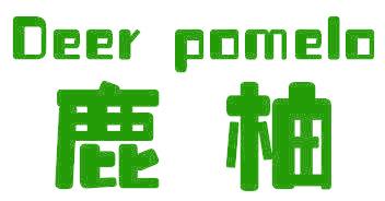 鹿柚 DEER POMELO