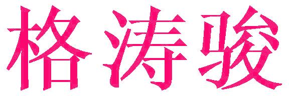 格涛骏