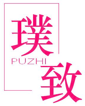 璞致