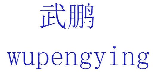 武鹏 WUPENGYING