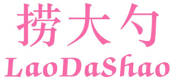 捞大勺