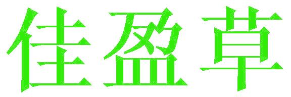 佳盈草
