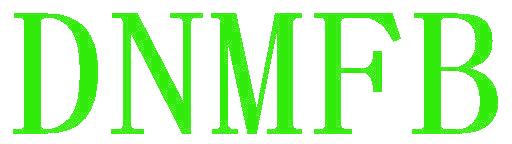 DNMFB
