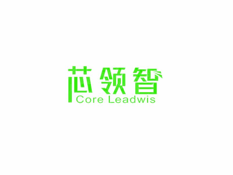 芯領(lǐng)智 CORE LEADWIS