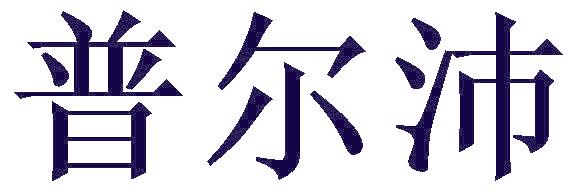 普爾沛