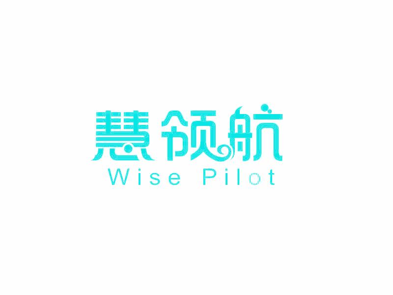 慧领航 WISE PILOT