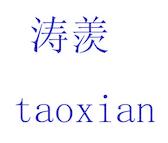 涛羡