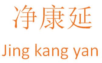 净康延