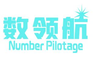 數(shù)領(lǐng)航 NUMBER PILOTAGE