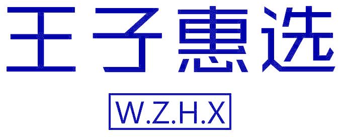 王子惠选 W.Z.H.X