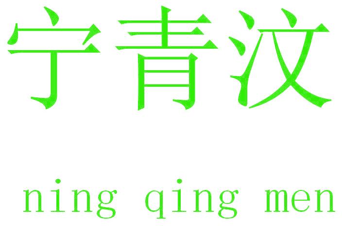 宁青汶