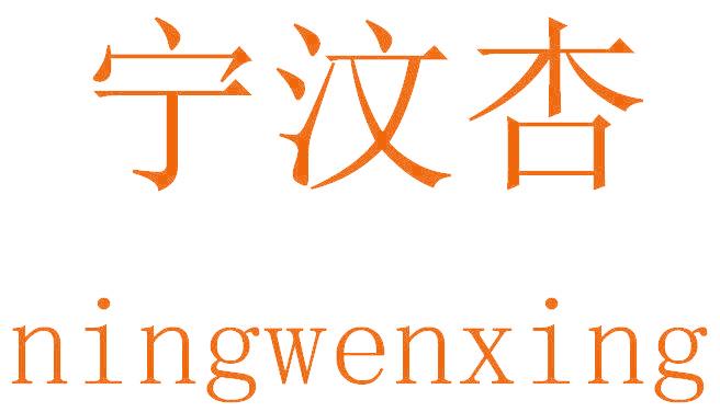 宁汶杏