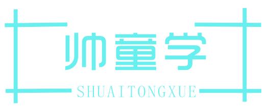 帅童学