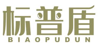 標普盾