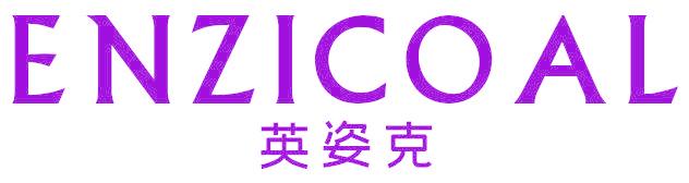 英姿克 ENZICOAL