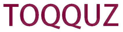 TOQQUZ