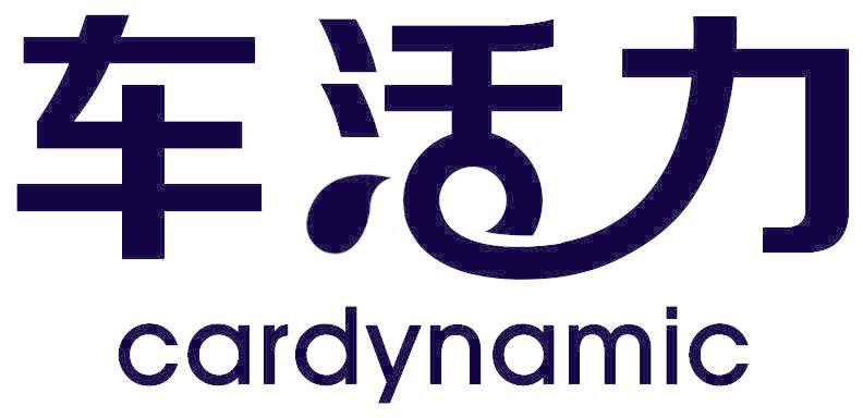 车活力 CARDYNAMIC