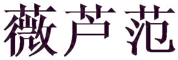 薇芦范