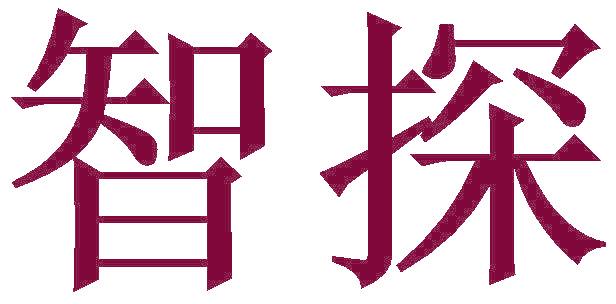 智探