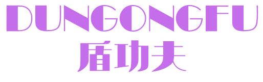 盾功夫