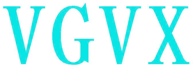 VGVX