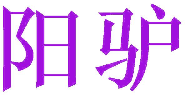 陽驢