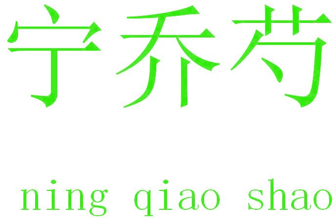 宁乔芍