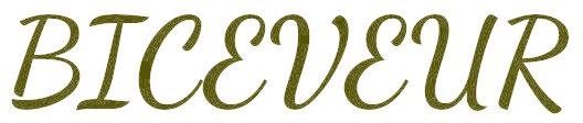 BICEVEUR