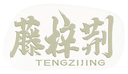 藤梓荊