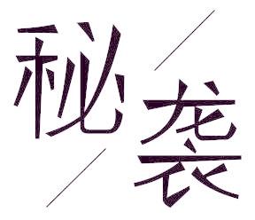 秘袭