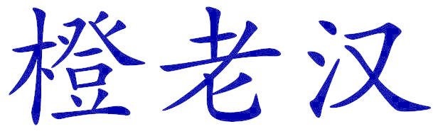 橙老汉