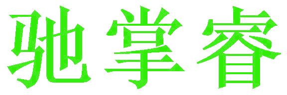 驰掌睿