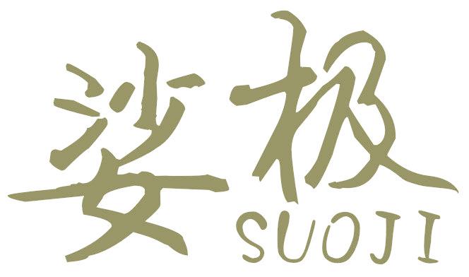 娑极