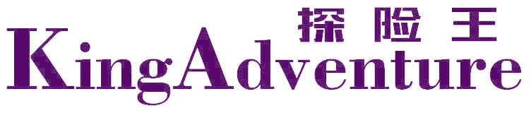 探险王 KING ADVENTURE