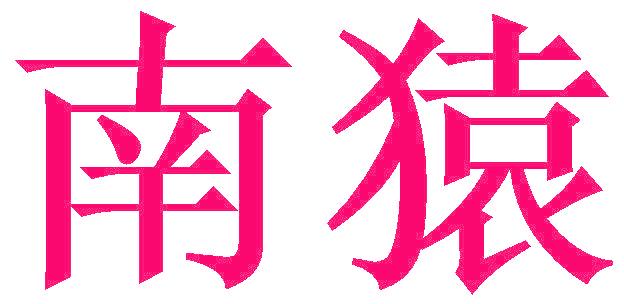 南猿
