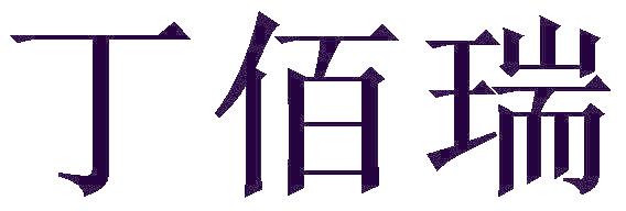 丁佰瑞