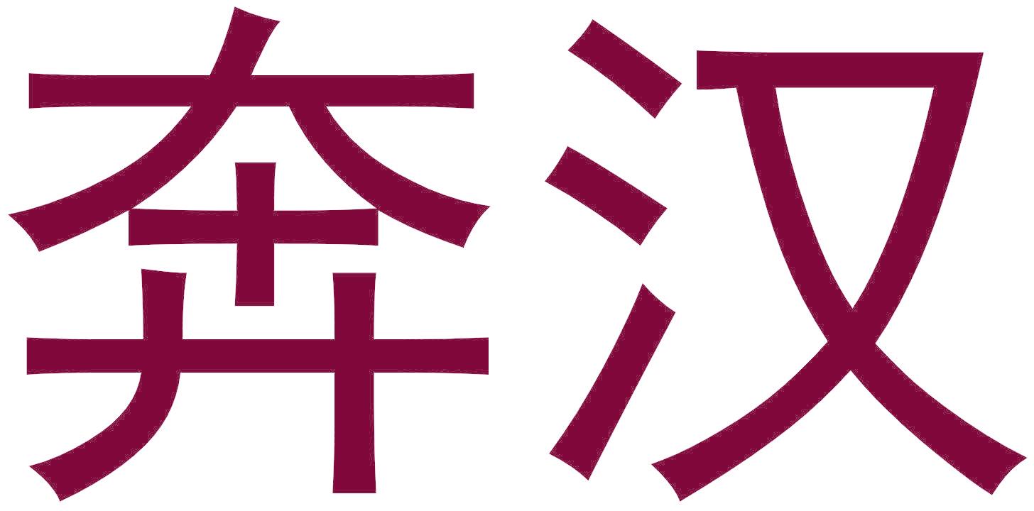 奔汉