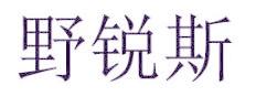 野锐斯